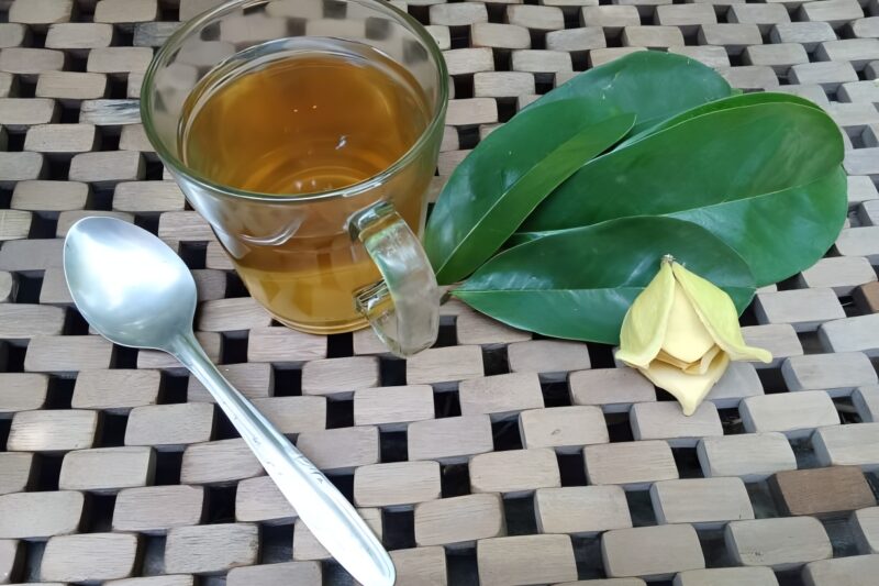 9 Manfaat Daun Sirsak dan Cara Mengonsumsinya